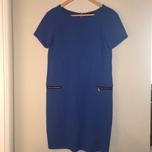 Blue Ann Taylor scuba dress